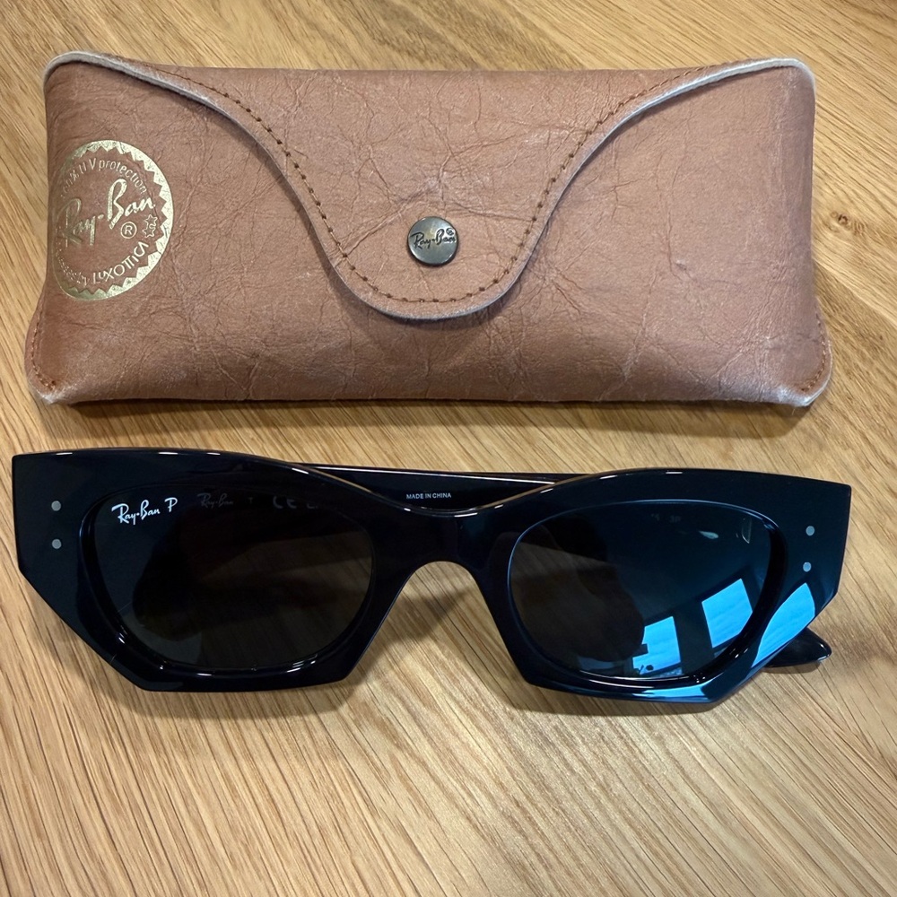 Ray-Ban Zena 49mm Polarized Small Geometric Sunglasses
